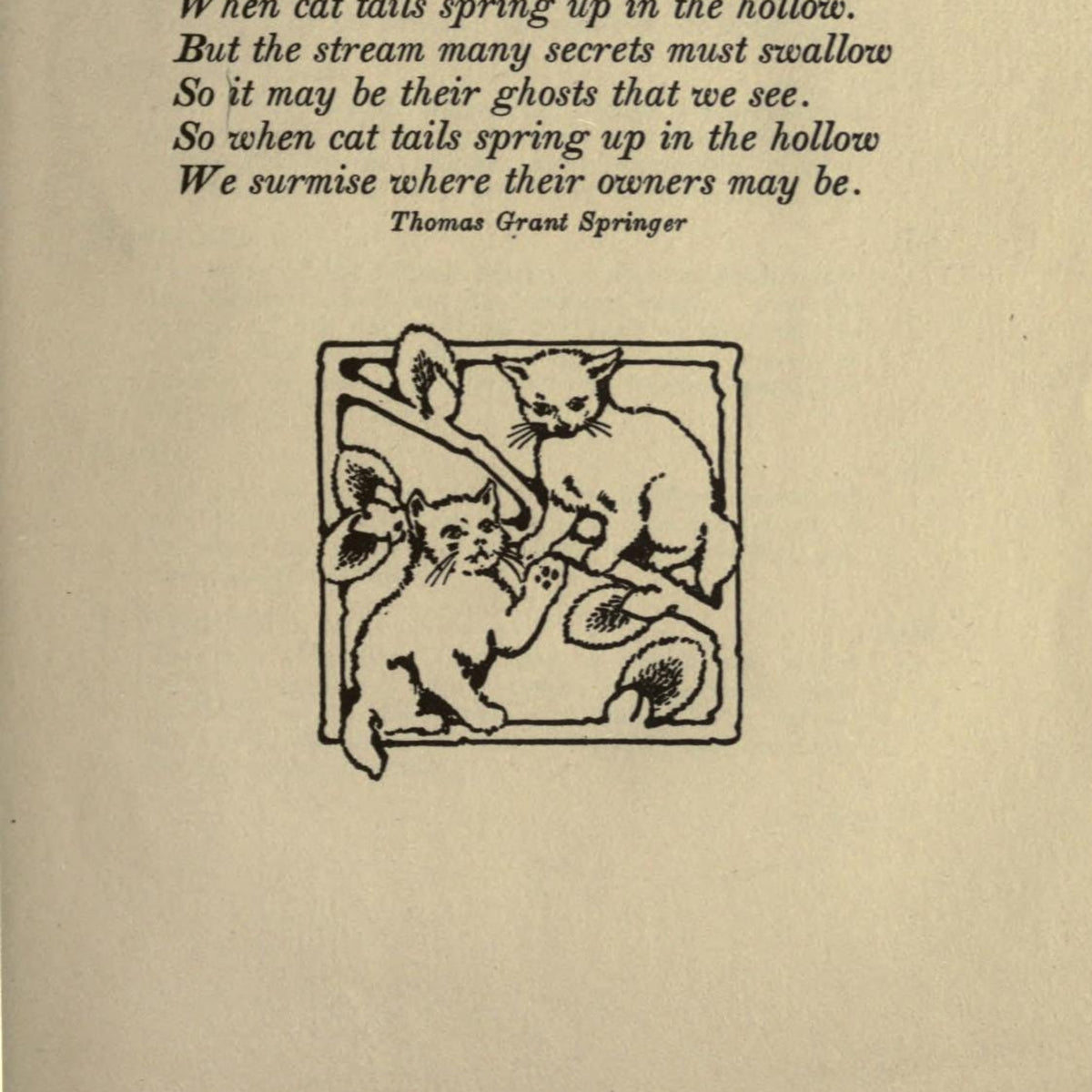 The Great Small Cat and Others