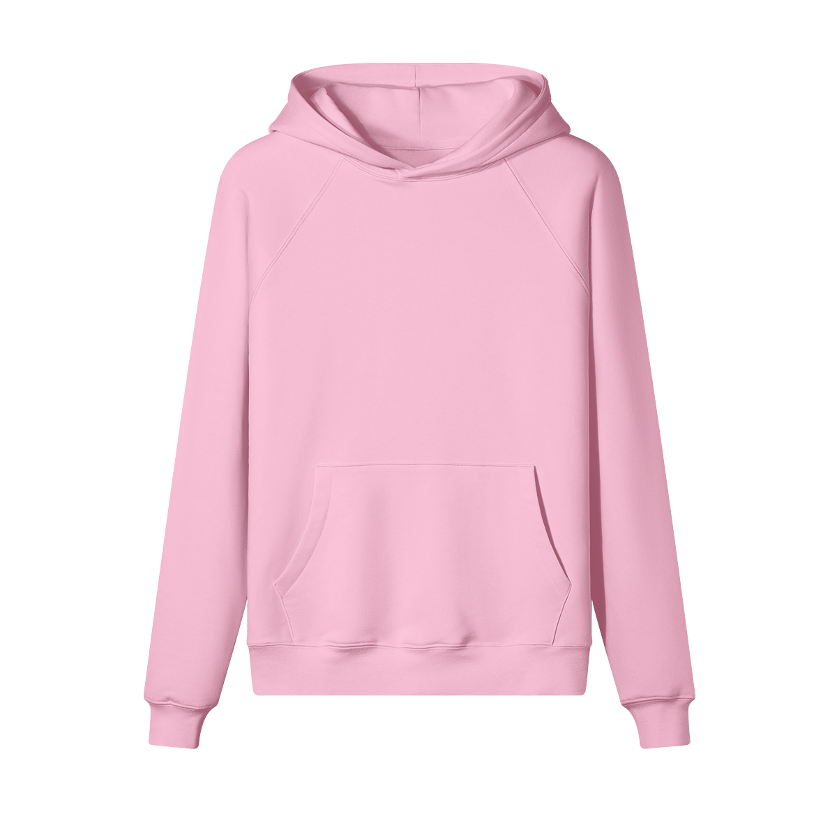 Pixelweaver Collection | PW Custom 380GSM Fleece-lined Hoodie Back | DEJA