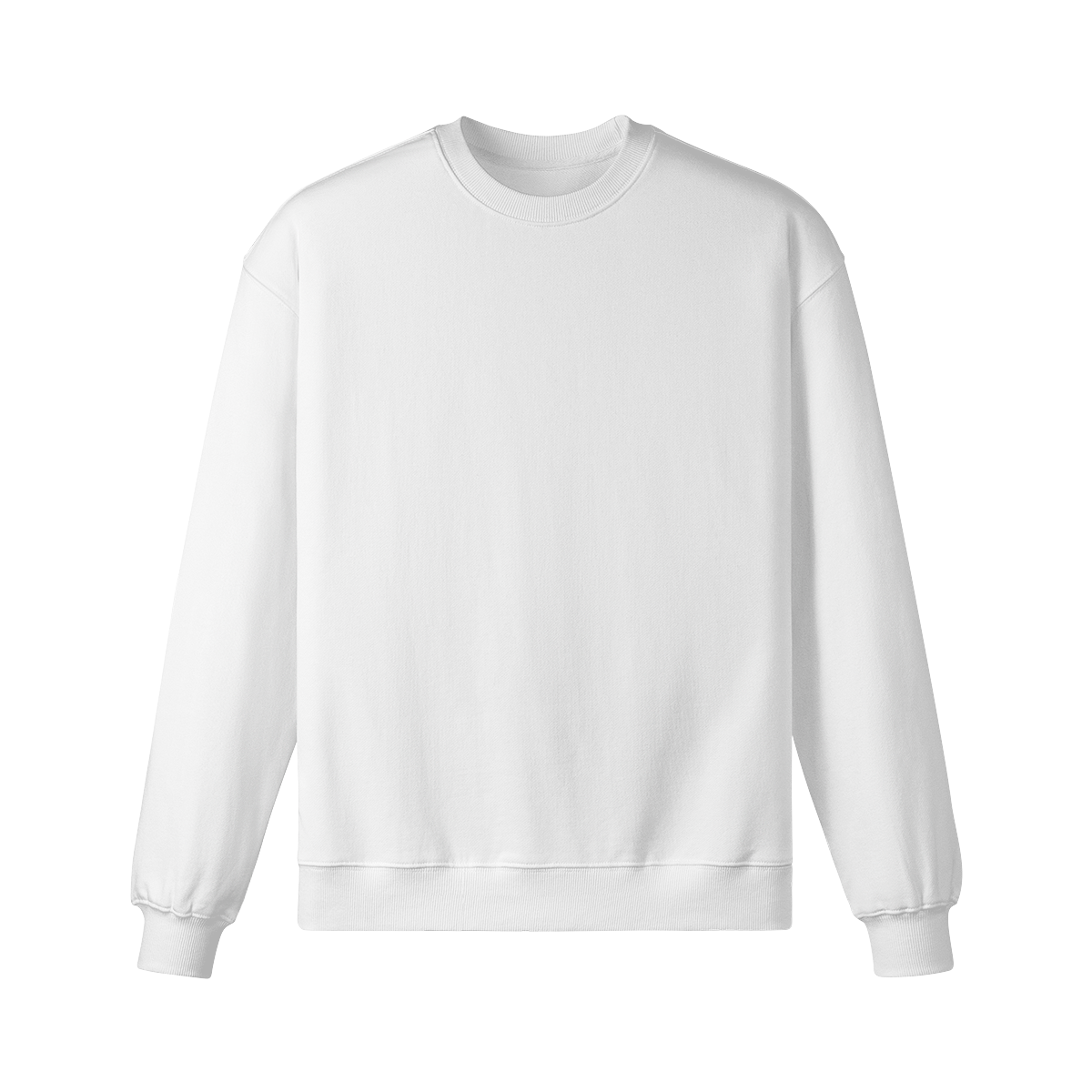 Pixelweaver Collection | PW Custom 370GSM Heavyweight Oversized Sweatshirt Back | DEJA