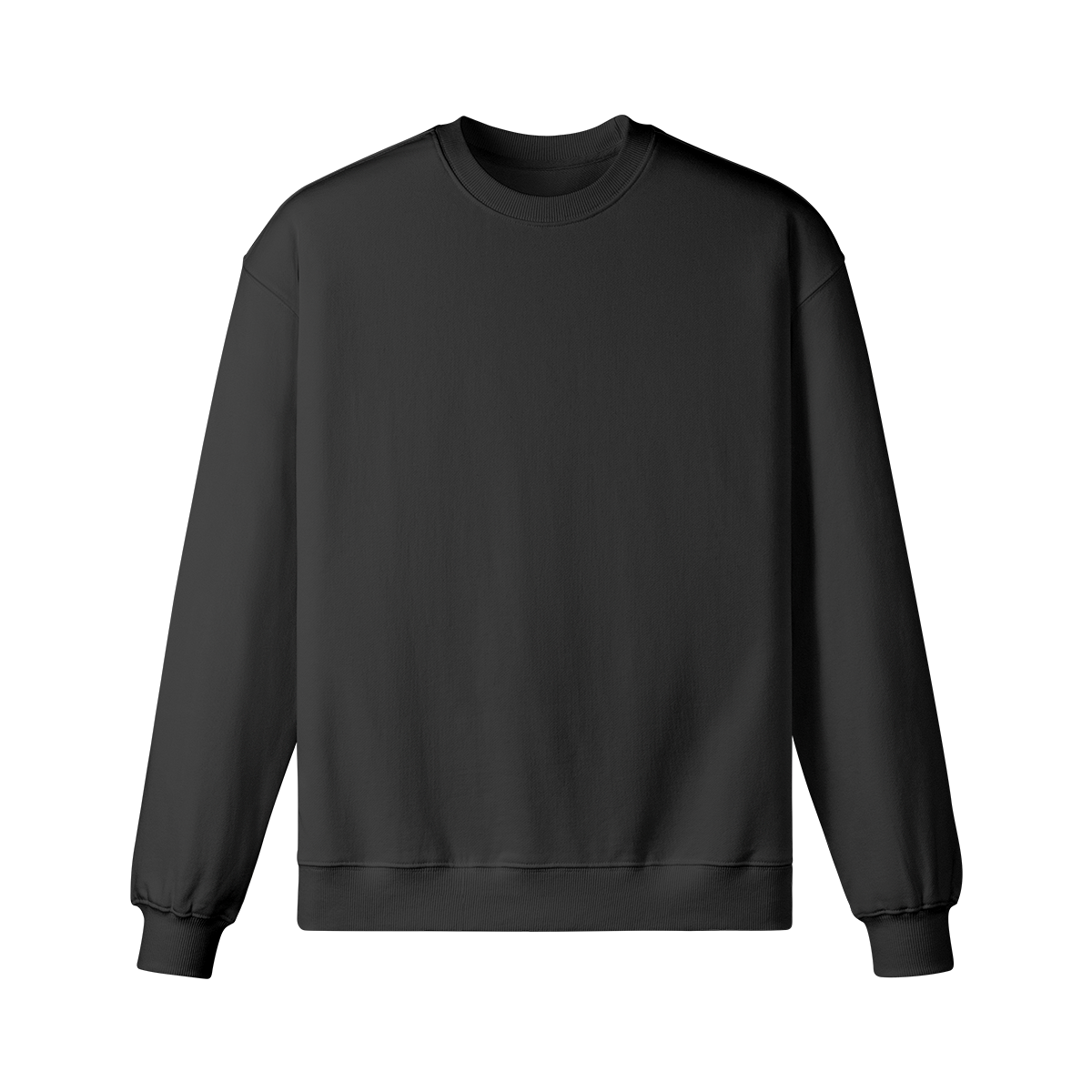 Pixelweaver Collection | PW Custom 370GSM Heavyweight Oversized Sweatshirt Back | DEJA