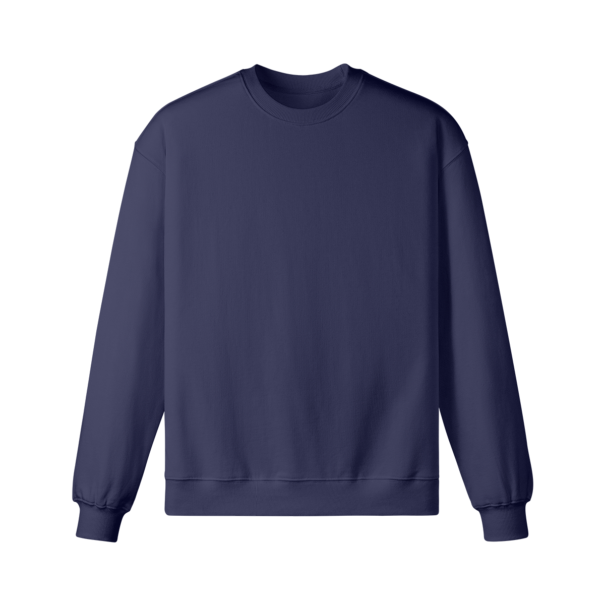 Pixelweaver Collection | PW Custom 370GSM Heavyweight Oversized Sweatshirt Back | DEJA