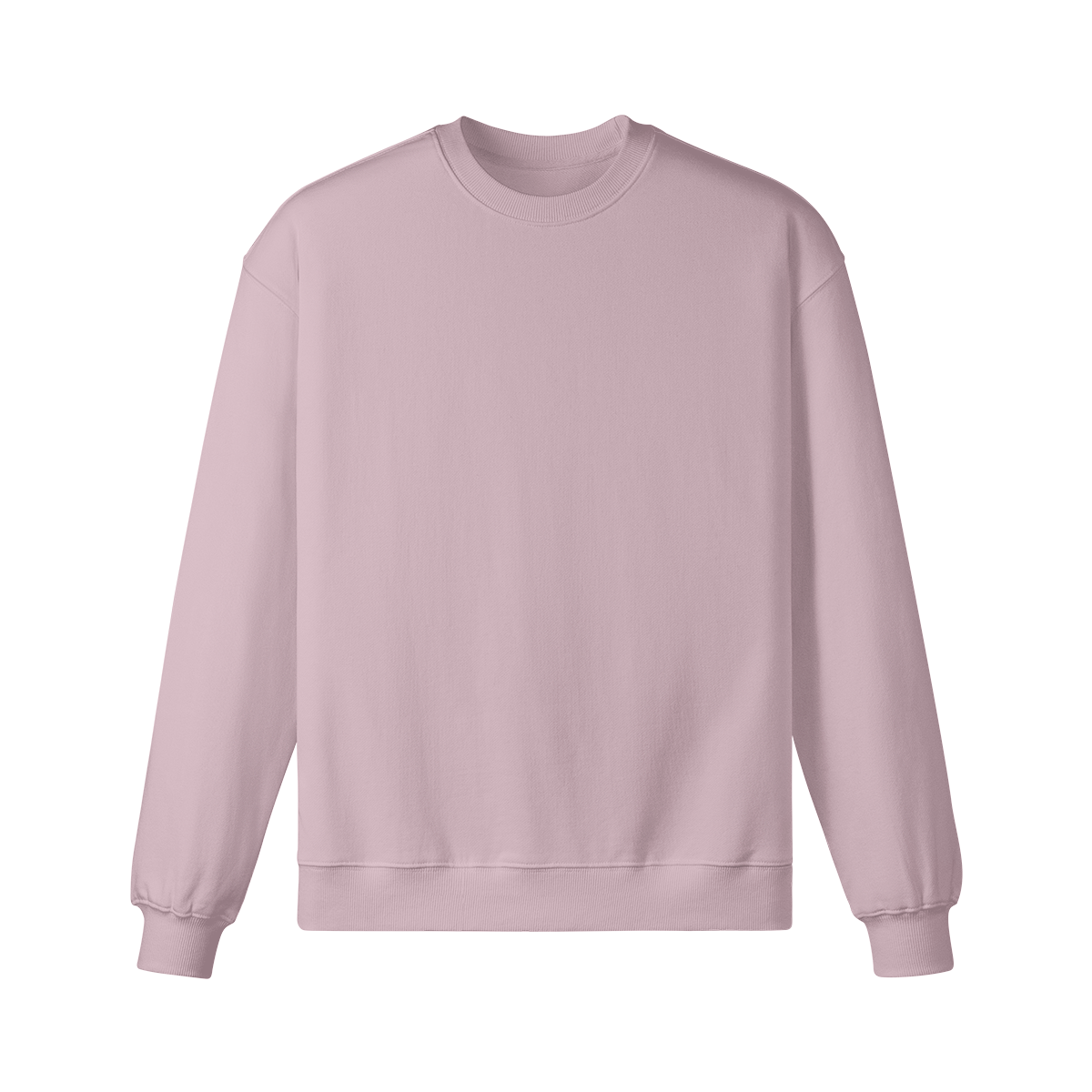Pixelweaver Collection | PW Custom 370GSM Heavyweight Oversized Sweatshirt Back | DEJA
