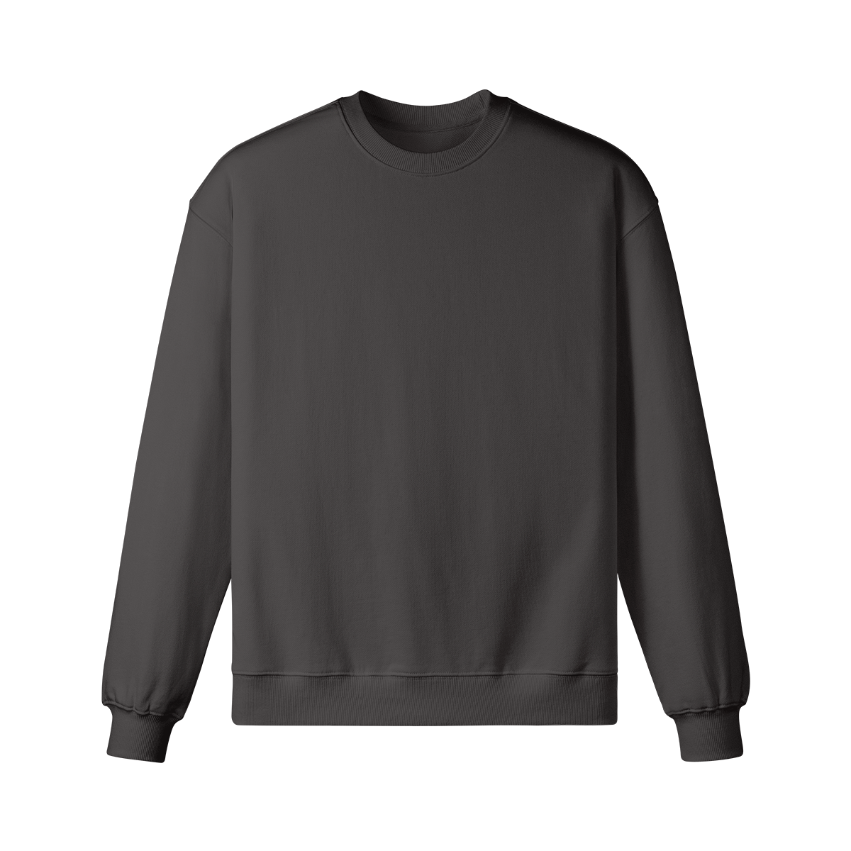 Pixelweaver Collection | PW Custom 370GSM Heavyweight Oversized Sweatshirt Back | DEJA