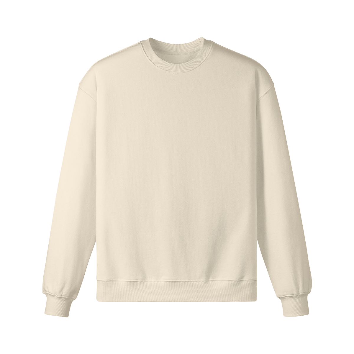 Pixelweaver Collection | PW Custom 370GSM Heavyweight Oversized Sweatshirt Back | DEJA
