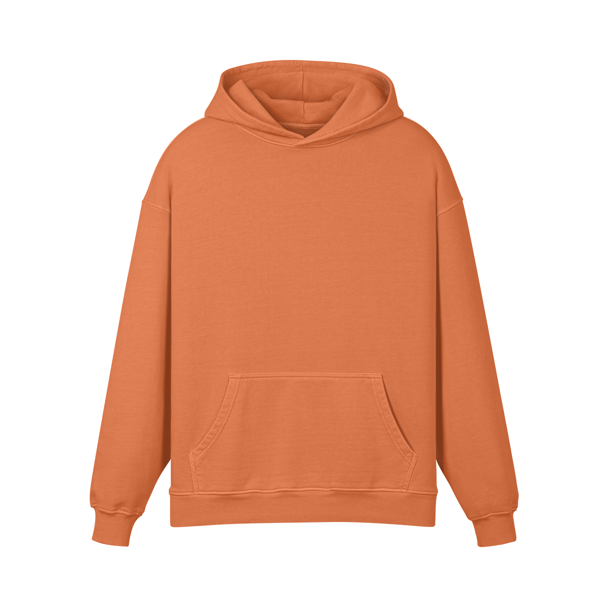 Pixelweaver Collection | PW Custom 440GSM Super Heavyweight Oversized Retro Hoodie Back | DEJA